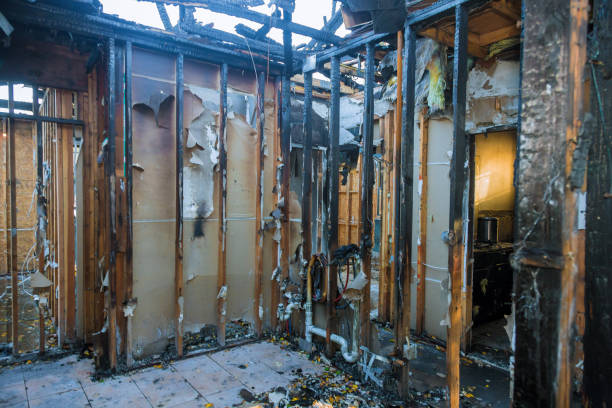 Professional Smoke Damage Removal technician working in Westminster, TX
